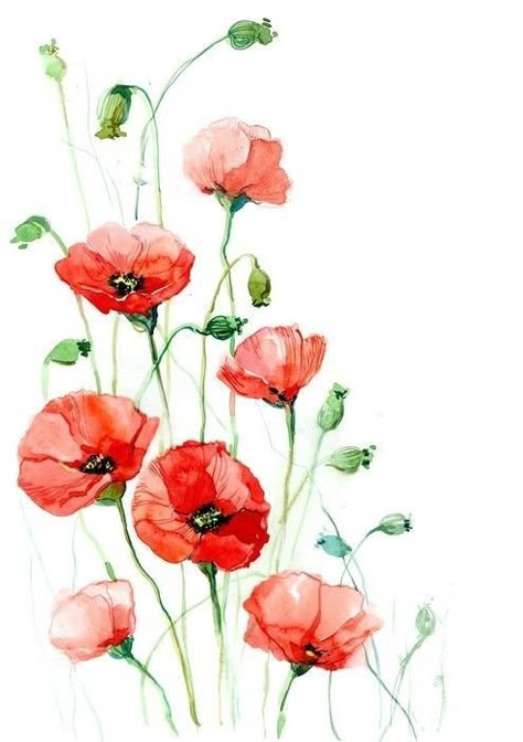 Poppy Flower Painting Acrylics, Poppy Craft For Kids, Poppy Flower Painting, Poppy Craft, Wildflower Drawing, Acrylic Flower Painting, Poppy Drawing, Poppies Tattoo, Acrylic Painting Flowers