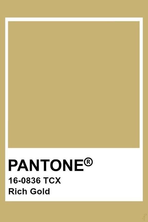 Gold Pantone Color, Pantone Tcx, Yellow Pantone, Pantone Swatches, Pantone Colours, Pantone Palette, Pantone Colour Palettes, Color Pantone, Gold Color Palettes