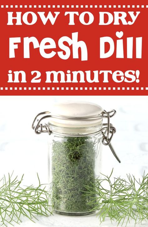 How to Dry Dill in Microwave What To Do With Extra Dill, Dry Dill How To, Dried Dill Recipes, Drying Dill In The Oven, Can You Freeze Fresh Dill, How To Dry Dill Herbs, How To Dry Fresh Dill, How Do You Preserve Fresh Dill, Preserving Dill Herb