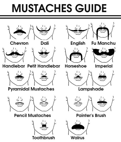 Pencil Mustache, Mustache Drawing, Types Of Mustaches, Walrus Mustache, Mustache Shapes, Fake Mustache, Moustache Style, Cool Mustaches, Growing A Mustache