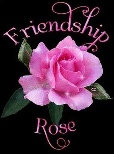 Friendship Rose Flower For Friendship, Hug Friendship, Friendship Articles, Friendship Rose, Flower Poem, Flower Colouring In, Friendship Flowers, Rose Belle, Happy Friendship Day