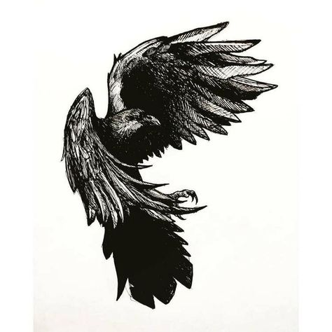 Odins Ravens Tattoo Design, Viking Head Tattoos For Men, Raven Tattoo Ideas For Men, Side Of Head Tattoo Men, Raven Tattoo Men, Raven Drawing Sketch, Viking Raven Tattoo Ideas, Odins Ravens Tattoo, Side Of Head Tattoo