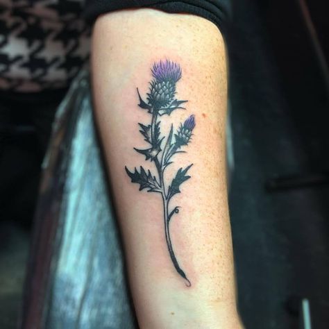 101 Amazing Thistle Tattoo Ideas You Need To See! 121 Outsons Thistle Tattoo Men, Thistle Tattoo Black, Mums Tattoo, Thistle Flower Tattoo, Scottish Thistle Tattoo, Scottish Tattoo, Mysterious Tattoo, Scottish Tattoos, Thistle Tattoo