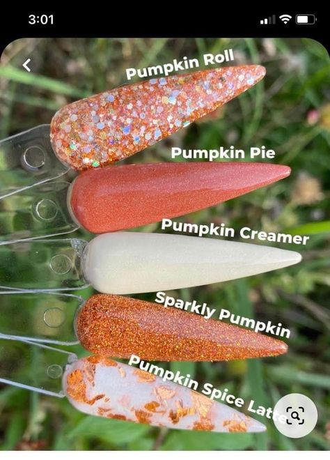 Fall Dipped Nails Ideas Powder, Sparkly Fall Nails, Pumpkin Spice Nails, Nail Polish Art Designs, Fall Nail Inspo, Nail Hardener, Chrome Nails Designs, Pumpkin Nails, Cute Nails For Fall