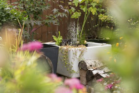 Water brings a magical quality to your garden and is the key to life for so many creatures that live in it. Sink Pond, Belfast Sink Garden Pond, Belfast Sink Water Feature, Belfast Sink Pond, Belfast Sink Garden, Mini Pond, Belfast Sink, Garden Water Feature, Small Pond