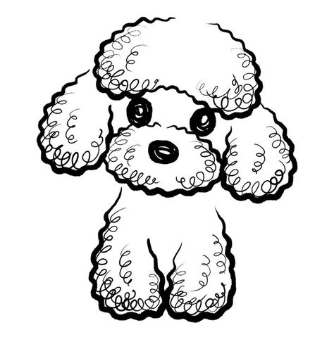 Toy Poodle Drawing Easy, Poodle Drawing Easy, Poodle Illustration, Painting Clipart, Dogs Watercolor, Dog Illustration Art, Poodle Drawing, Dog Drawing Simple, Watercolor Dogs