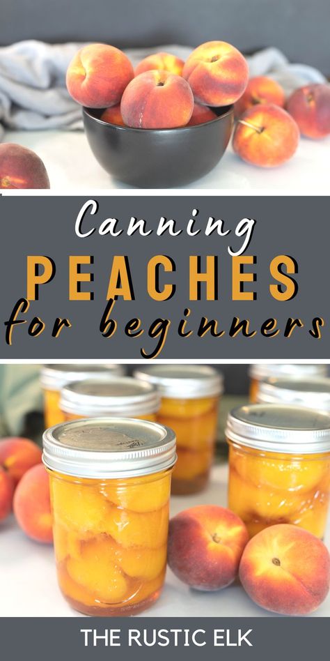 Thinking of canning peaches? This easy step-by-step tutorial will show you how! Perfect for beginning canners and old pros, canned peaches can be canned in a simple sugar syrup, or even in honey for amazing flavor. Learn the best way to can peaches in a water bath canner by reading on! Canning Peaches Recipes, Can Peaches Recipes, How To Can Peaches, Can Peaches, Canning Water, Hot Water Bath Canning, Water Bath Canning Recipes, Simple Sugar Syrup, Canning Jam Recipes