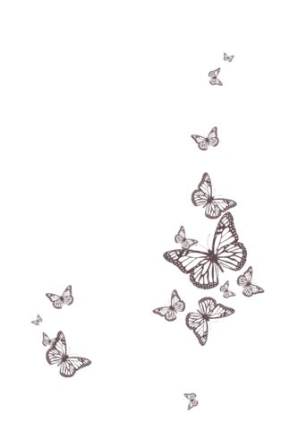 Medium Tattoos, Small Butterfly Tattoo, Butterfly Tattoo, Small Tattoos, Tatting, Butterflies, Tattoos