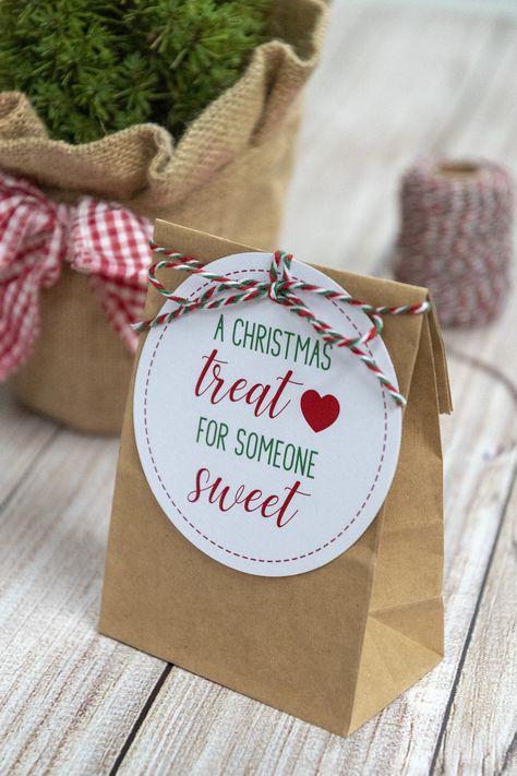 A Christmas Treat for Someone Sweet Free Printable Gift Tags. Perfect for teacher gifts, staff appreciation, or customer gifts for your biz. #christmasprintables #teachergifts #christmasdiy #freeprintables Free Christmas Tags, Free Printable Christmas Gift Tags, Christmas Gift Tags Free, Christmas Cookies Gift, Faking It, Teacher Gift Tags, Free Printable Gifts, Printable Gift Tags, Free Printable Gift Tags