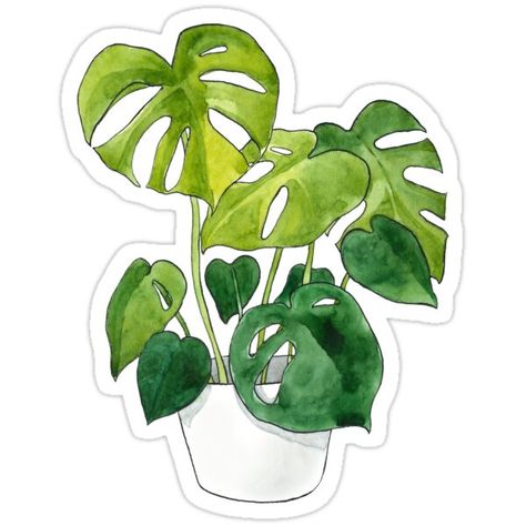 Monstera Deliciosa Plant Sticker Deliciosa Plant, Preppy Stickers, Homemade Stickers, Cute Laptop Stickers, Bubble Stickers, Stickers Aesthetic, Tumblr Stickers, Scrapbook Stickers Printable, Hydroflask Stickers