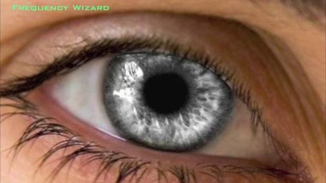 rarest eyes colors in the world — Steemit Light Grey Eyes, Air Elemental, Rare Eye Colors, Rare Eyes, Blue Eye Color, Silver Eyes, Cia Agent, Beautiful Eyes Color, Light Blue Eyes