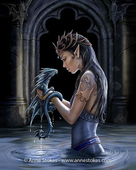 Anne Stokes Art, Anne Stokes, Dragon Artwork Fantasy, Fairy Dragon, Gothic Fantasy Art, Water Dragon, Dragon Pictures, An Elf, Dragon Artwork