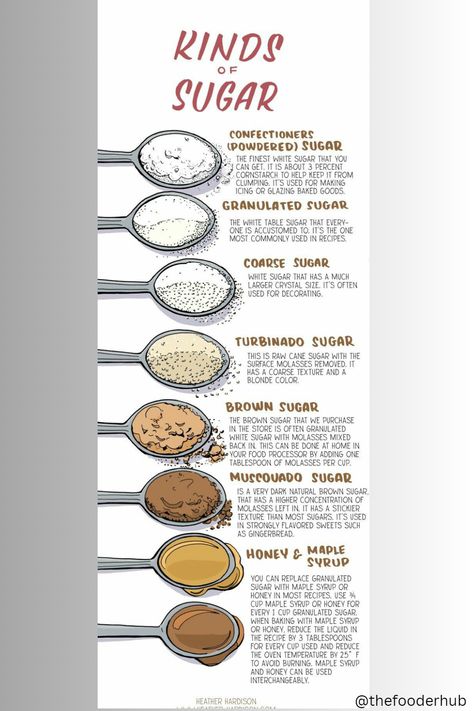 Type Of Sugar, Kind of Sugar, Sugar, Recipe Gelato Business, Gingerbread Dough Recipe, Baking Knowledge, Sugar Infographic, Gingerbread Men Recipe, Caramel Cookies Recipes, Festive Christmas Cookies, Pumpkin Spice Cookie Recipe, Sumac Spice