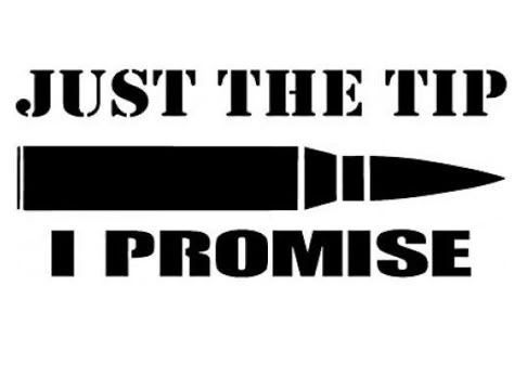 Just The Tip I Promise, Van Wall, Flowers Quotes, Girlfriend Quotes, Stickers For Laptop, Funny Decals, Yeah Yeah, Print Decals, Nursery Wall Decals