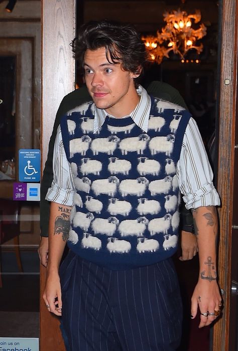 Harry Styles Sweater Vest, Harry Styles Sweater, Harry Styles Clothes, Harry Outfits, Harry Styles Outfit, Oufits Casual, Haikou, Celebrity Look Alike, Celebrity Style Red Carpet