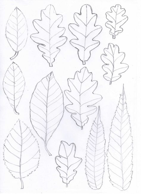 Bugs and Fishes by Lupin: Paper Leaf Garlands - a quick 'how to' Leaf Templates, Types Of Leaves, Art Handouts, Săpunuri Handmade, Yarn Wreath, Paper Leaves, Leaf Template, Leaf Garland, Leaf Wreath