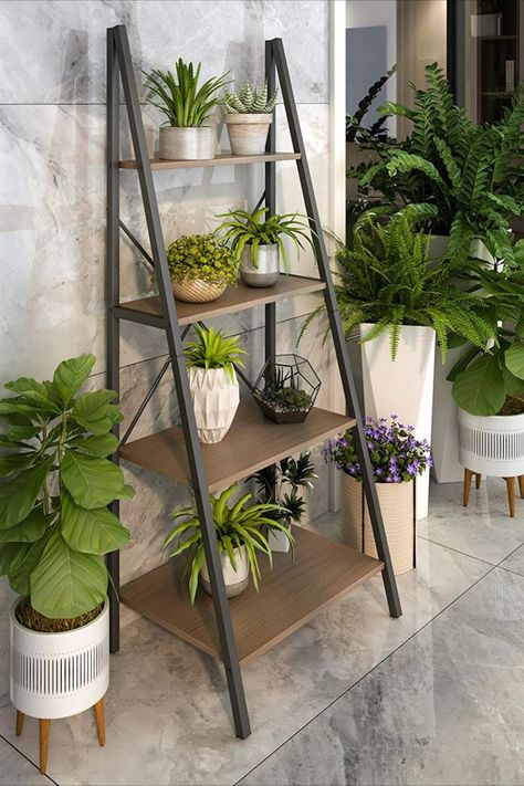 The A Shape Design of ladder shelf differentiates itself from many other shelves for its grain pattern shelves and black strong supports. Ladder Shelf Plants, Plant Ladder Shelf, Bookcase Ladder, Plant Ladder, Ladder Shelves, Rack Shelves, Metal Bookshelf, College Living, Living Room Plants