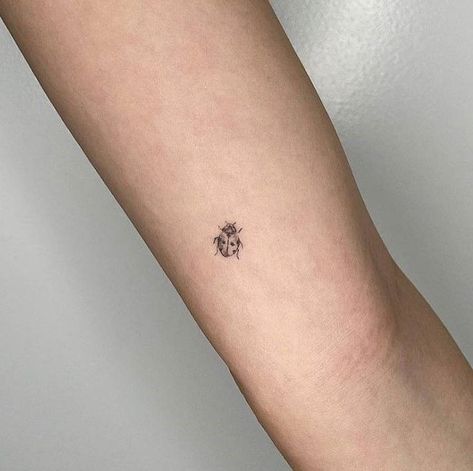 Ladybird Tattoo, Rosemary Tattoo, Aesthetic Tattoo Ideas, Minimal Tattoo Ideas, Ladybug Tattoo, Unique Tattoo Ideas, Lady Bug Tattoo, 20 Aesthetic, Armband Tattoo Design