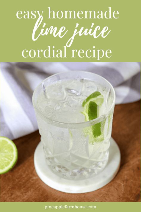 Easy Homemade Lime Juice Cordial Homemade Lime Juice, Ginger Cordial Recipe, Lime Cordial Recipe, What To Do With Limes, Cordial Recipes, Making Marmalade, Cordial Recipe, Glass Mixing Bowls, Chutney Recipes