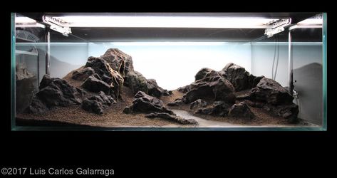 https://showcase.aquatic-gardeners.org/2017/show656.html#s448-2 Nature Style Aquascape, Ada Aquascape, 60p Aquascape, Indoor Pond, Aquarium Algae, Iaplc Aquascape, 2.5 Gallon Aquascape, Amazing Aquariums, Aquascape Design