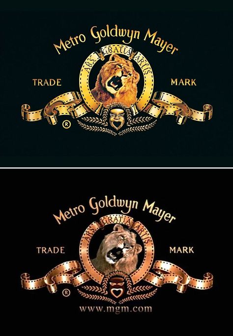 "It's an evolution, not a revolution." This is not the hill I'm going to die on, of course, my only comment being it would have been WAY cooler to use a real lion...#leothelion #MGM #oldvsnew Mgm Logo, Mgm Lion, Mgm Studios, Leo The Lion, Metro Goldwyn Mayer, Movie Theatre, Lion Logo, Foto Art, Classic Films