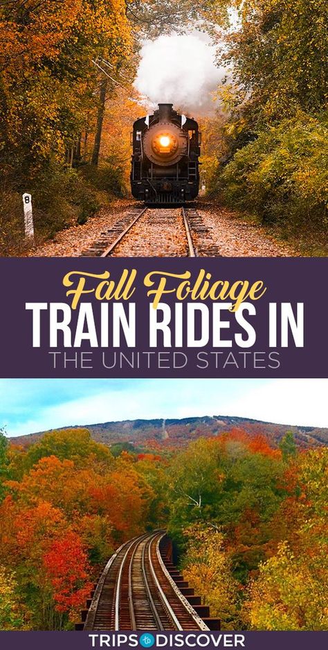 Train Travel Usa, Travel United States, Scenic Train Rides, Road Trip Places, Road Trip Destinations, Us Travel Destinations, Train Ride, Destination Voyage, Bucket Lists