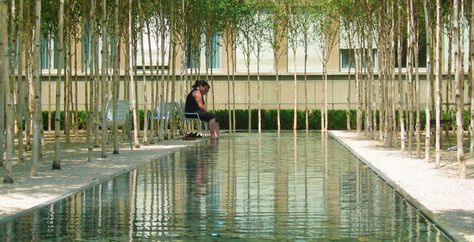 Novartis Headquarters Architecture Courtyard, Rectangular Pool, Landscape Architecture Design, Landscaping Tips, Modern Landscaping, Landscape Projects, Contemporary Landscape, Landscape Architect, Basel