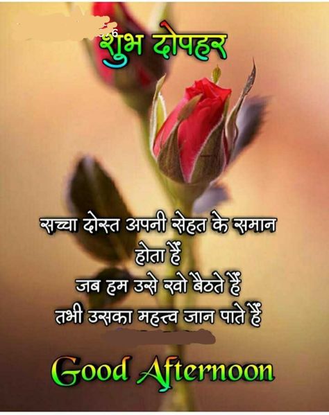 Good Afternoon Quotes, Afternoon Quotes, Good Afternoon, Hindi Quotes, Morning Quotes, Good Morning Quotes, Good Morning, Quotes, Quick Saves