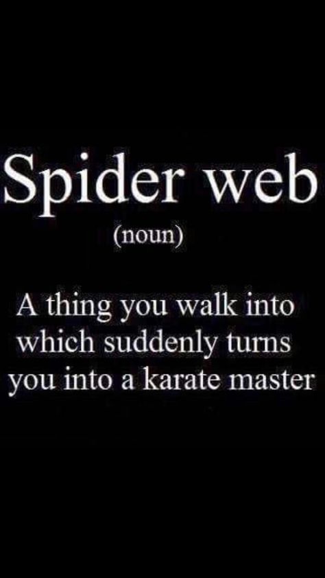 Spider Web Quotes, Spider Puns, Riddler Riddles, Web Quotes, Funny Definition, Spider Webs, Funny Humor, Wise Quotes, Riddles