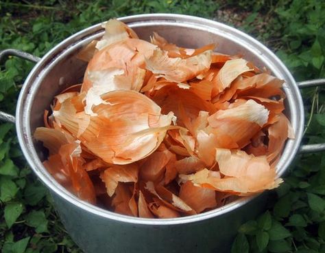 Onion Benefits Health, Natural Dye Fabric, Eco Dyeing, Earth Pigments, Yellow Onion, Earthy Colors, Red Onion, Natural Dyes, Onions