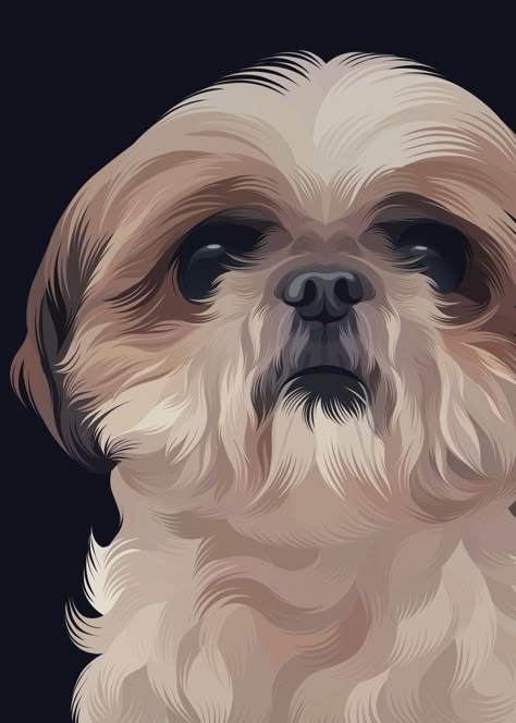 Animals posters Cute Shih Tzu Wallpaper, Shitzu Puppies Wallpaper, Shitzu Illustration, Shitzu Wallpaper, Shitzu Drawing, Drawing Shih Tzu, Shih Tzu Wallpaper, Shih Tzu Drawing, Shitzu Art