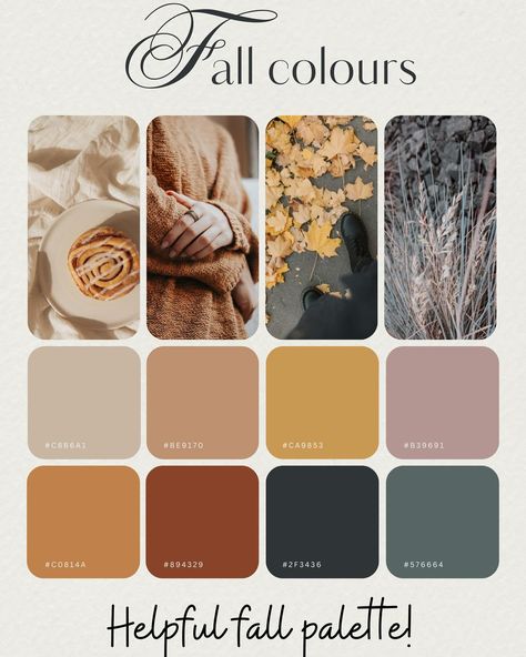 Ready for FALL! Here’s a helpful FALL palette! 🍁🍂 Early Autumn Wedding Colors, Fall Harvest Color Palette, Fall Paint Colors Colour Palettes, Family Photo Fall Color Scheme, Fall Decor Color Palette, Fall Family Photo Color Palette, Fall Color Codes, Fall Color Pallete Family Pictures, Fall 2024 Color Palette