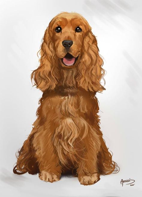 Drawings Of Cocker Spaniels, Cocker Spaniel Illustration Drawings, Cocker Spaniel Art Illustration, Cocker Spaniel Drawing Easy, Drawing Cocker Spaniel, Cocker Spaniel Drawing, Cocker Spaniel Painting, Cocker Spaniel Illustration, Spaniel Drawing