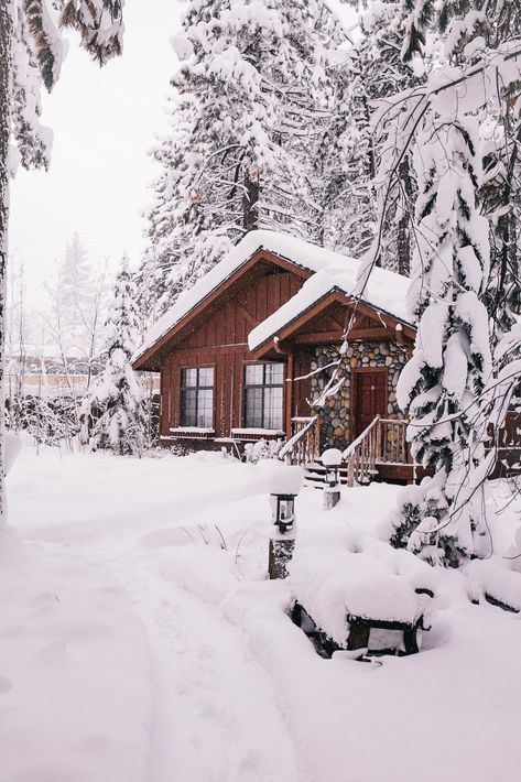 Winter Cottage Exterior, Cabin Snow, Siding Styles, Winter House Exterior, Cabin Winter, Snow Cabin, Winter Cottage, Rustic Home Design, Winter Cabin