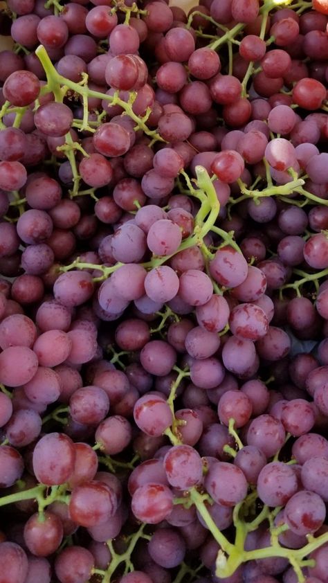 Red Seedless Grapes Grape Wallpaper, Macro Food Photography, Fruits And Vegetables Pictures, Vegetable Pictures, Dark Food Photography, Fruit Wallpaper, Macro Meals, Fruit Photography, Fruit Flowers