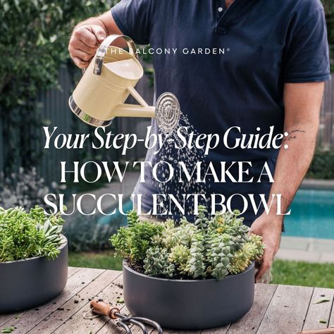 Looking to bring a touch of nature indoors with minimal effort? 🌿   Succulents are the perfect choice! Their hardy nature, diverse shapes, and vibrant colours make them ideal for creating a stunning succulent bowl - a versatile centrepiece for any room or outdoor space.  Here’s how to do it:  1️⃣ Gather your materials 2️⃣ Prepare your bowl 3️⃣ Arrange your succulents 4️⃣ Add decorative touches 5️⃣ Water sparingly 6️⃣ Find the perfect spot 7️⃣ Enjoy and maintain! Succulent Bowl, Succulent Bowls, Succulent Arrangements, Nature Indoors, Balcony Garden, Vibrant Colours, Step Guide, Outdoor Space, Succulent