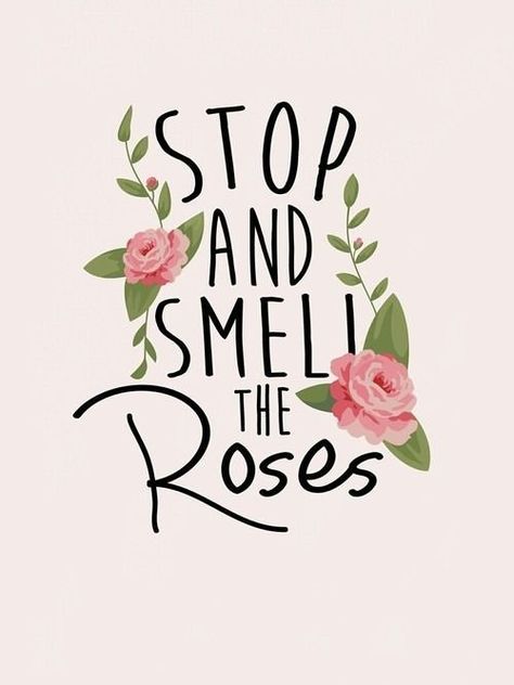 Quotes for Motivation and Inspiration   QUOTATION – Image :    As the quote says – Description  Stop, relax and smell the roses. Stop And Smell The Roses, Cute Instagram Captions, Hangover Kit, Smell The Roses, Flower Quotes, Happy Thoughts, Pretty Words, Cute Quotes, The Words