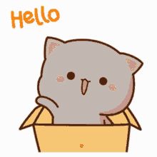 Peach Cat, Hello Cute, Chibi Cat, Cat Quotes Funny, Gray Cat, Cute Cartoon Images, Cute Love Cartoons, Cute Cat Gif, Kawaii Animals