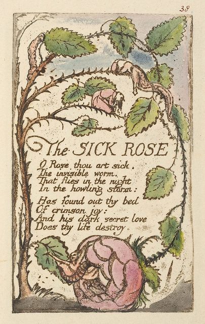 The Sick Rose, William Blake Art, Songs Of Innocence, Rose Williams, Desain Editorial, William Blake, Human Soul, Old Book, What’s Going On