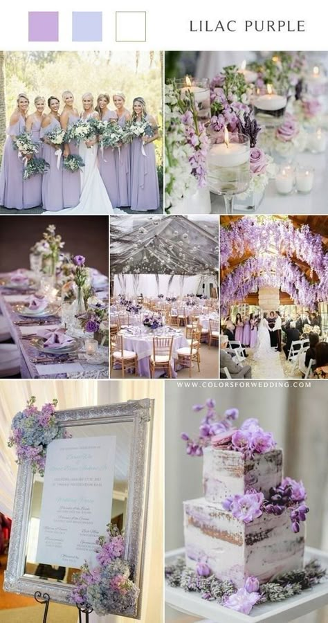 Lilac Gray Wedding, Lilac Wedding Colors, Lilac Wedding Themes, Purple And White Wedding, Lavender Wedding Theme, Gray Wedding Colors, Purple And Green Wedding, Wedding Color Scheme, Wedding Color Palettes