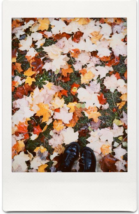 Fall Polaroid Pictures, Autumnal Picnic, Autumn Manifestation, Autumn Polaroid, Halloween Polaroid, Inspo Pictures, Instax Photos, Mixtape Cover, Polaroid Pictures