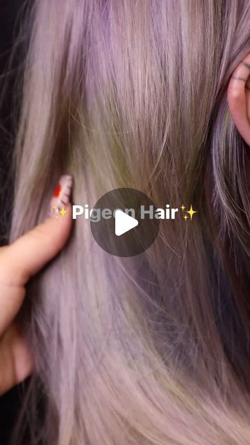 Pigeon Hair Color, Pigeon Hair Dye, Calico Cat Hair Color, Pigeon Hair, Calico Cat Hair, Nice Hair, Awesome Hair, Grey Hair Color, Cat Hair