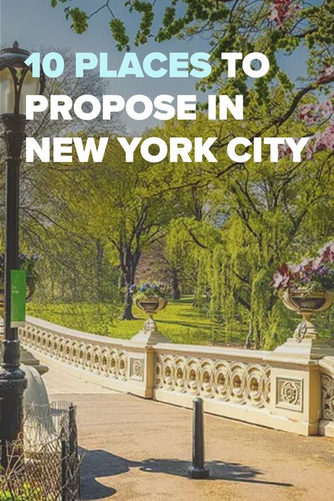 Nyc Winter Proposal, Nyc Proposal Ideas, New York Proposal, Boyfriend Proposal, Nyc Proposal, Places To Propose, Proposal Spots, Winter Proposal, Best Places To Propose