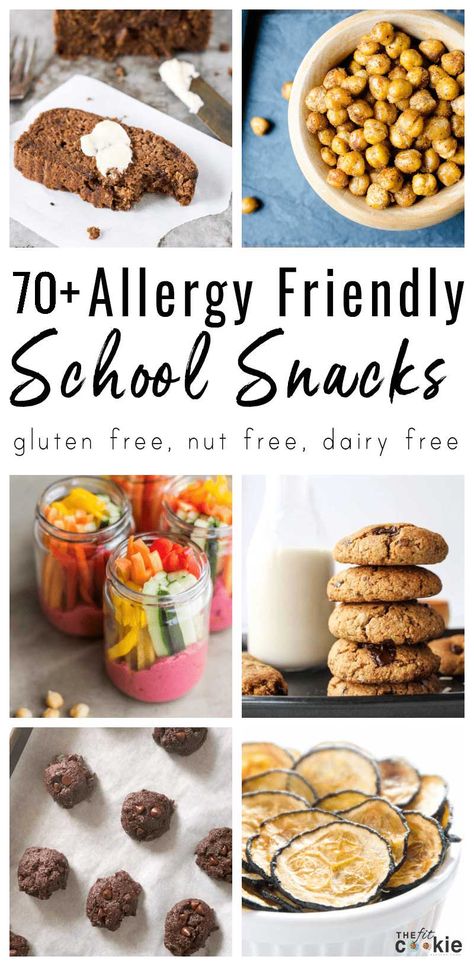 It's back to school time again! If you're on the lookout for allergy friendly snacks, then we've got what you're looking for: here are over 70 gluten free dairy free snack recipes that are perfect for school, lunch boxes, parties, or anytime! | TheFitCookie.com #backtoschool #snacks #glutenfree #dairyfree #nutfree Dairy Free Snack Recipes, Allergy Friendly Snacks, Allergy Free Snacks, Peanut Free Snacks, Gluten Free Dairy Free Snacks, Snacks For School, Nut Free Snacks, Snack Sani, Dairy Free Snacks