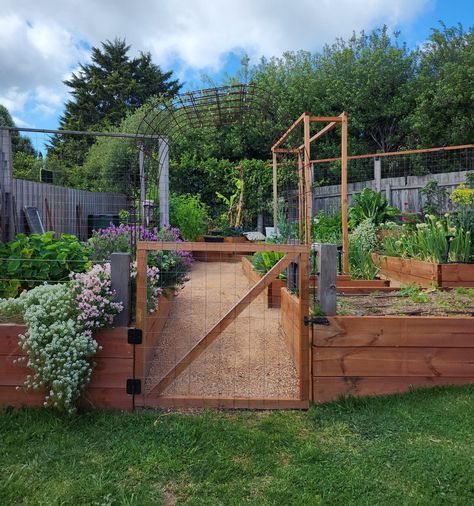 Welcome to our veggie garden 🌱... - Ash's Backyard Garden Veggies Garden Layout, Front Yard Vegetable Garden, Veggie Garden Design, Veggie Garden Layout, Garden Bed Layout, Dream Backyard Garden, Garden Prepping, Backyard Garden Layout, Garden Design Layout