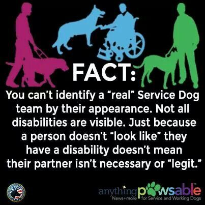 Don't judge Puppy Training Guide, Psychiatric Service Dog, Psychiatric Services, Service Dogs Gear, Service Dog Training, Emotional Support Dog, House Training Dogs, Emotional Support Animal, Assistance Dog