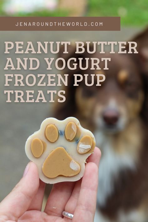 Fresh Dog Treats, Healthy Soft Dog Treats Homemade, Cold Dog Treats Homemade, Cold Dog Treats, Pup Treats, Pupsicle Pops Recipes, Dog Cold Treats, Frozen Treats For Dogs Recipe, Pup Sicles