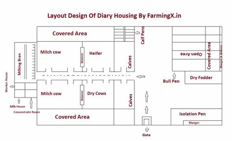 Dairy Housing Useful information and Design– FarmingX Cattle Shed Design, Cattle Farm Design, Dairy Cow Shed Design, Farm Plans Layout, Cow Shed Design Plan, Dairy Farm Design, Cow Farm Design, Milk Parlor, Cattle Barn Designs