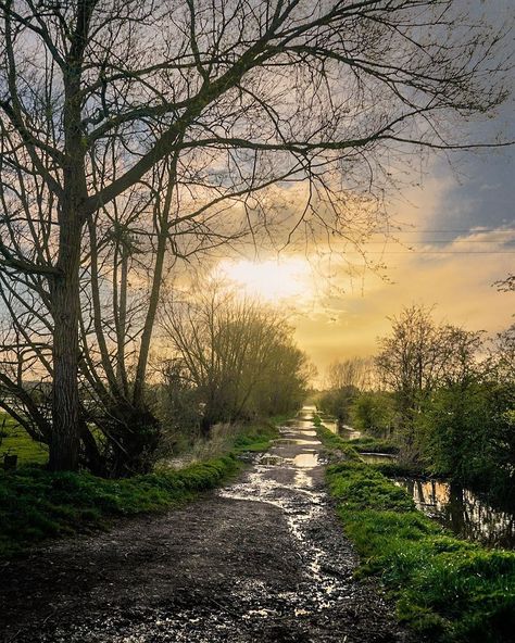 . 📸 @when_she_travels 📍: Somerset Levels Congratulations and thank you for sharing and tagging YOUR image. Feature Selected by:… | Instagram Isolated Cabin, Somerset Levels, Photography Landscape Nature, Rural Photography, Photography Landscape, Landscape Nature, Somerset, Your Image, Follow Us