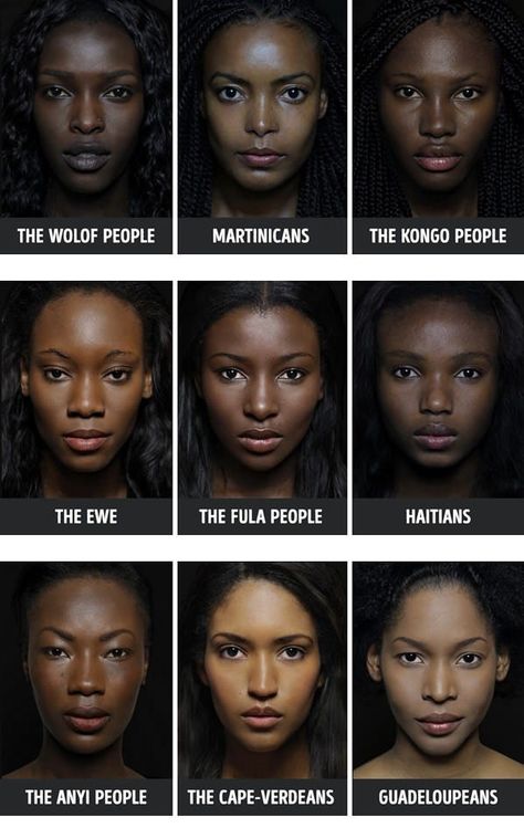 The Eve Gene, Corp Perfect, Average Face, Face Anatomy, Face Reference, Anatomy Reference, Body Reference, People Of The World, Facial Expressions